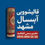 لوگوی قالیشویی آبسال مشهد 